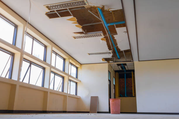 Best Commercial water damage restoration  in Deerfield, IL