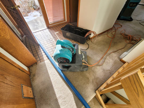 Best Professional water damage repair  in Deerfield, IL