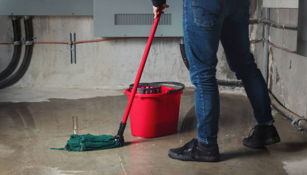 Best Mold removal after water damage  in Deerfield, IL