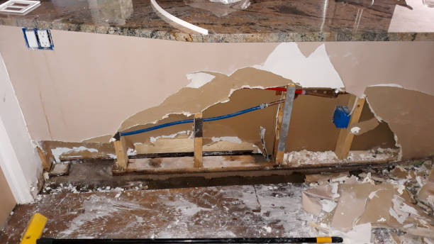Best Sewage cleanup and water damage restoration  in Deerfield, IL