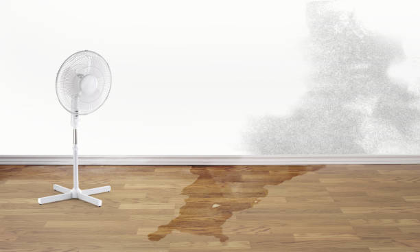 Best Emergency water damage restoration  in Deerfield, IL