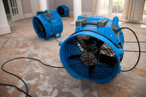 Best Water damage restoration insurance claims  in Deerfield, IL