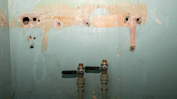Water damage restoration process in IL